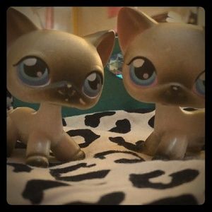 Littlest pet shop LPS Siamese cat bundle